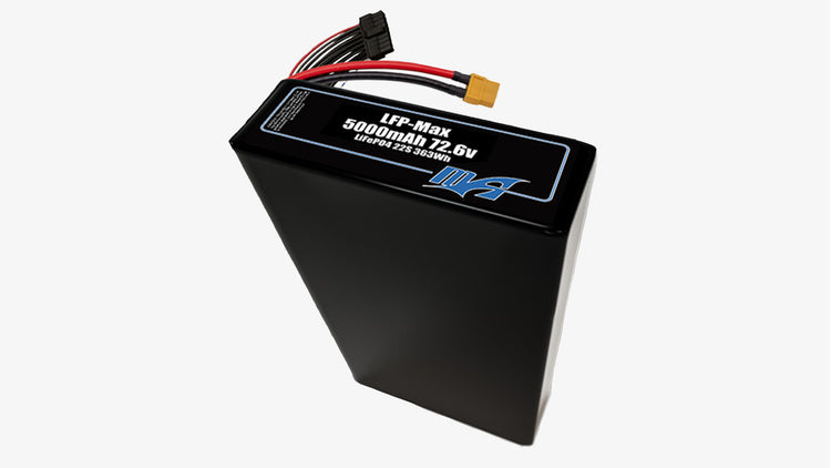 22S 72.6v LFP-Max