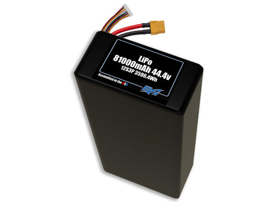 LiPo 81000 12s3p 44.4v Battery